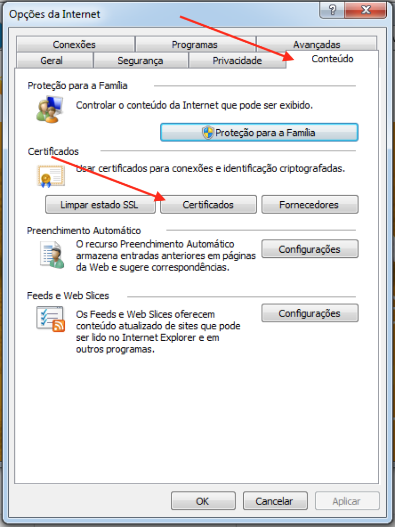 Conteúdo de Certificado Digital A1 no Internet Explorer
