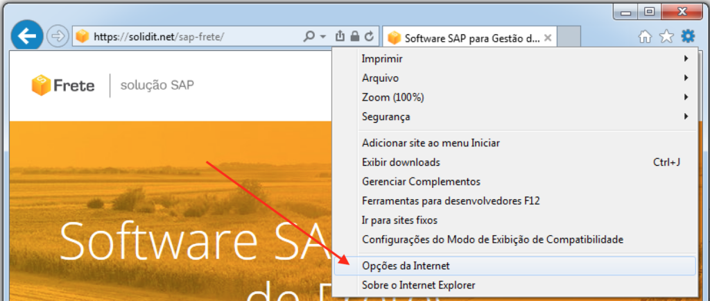 Configurações do Internet Explorer